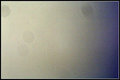 DWT_7537.jpg
