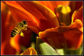 IMG_8324a.jpg