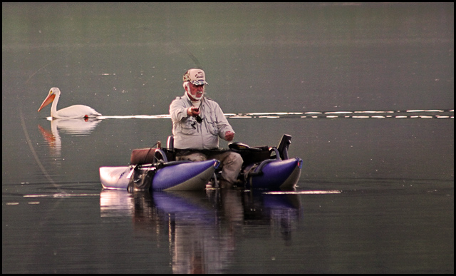 Early Morning Fishing