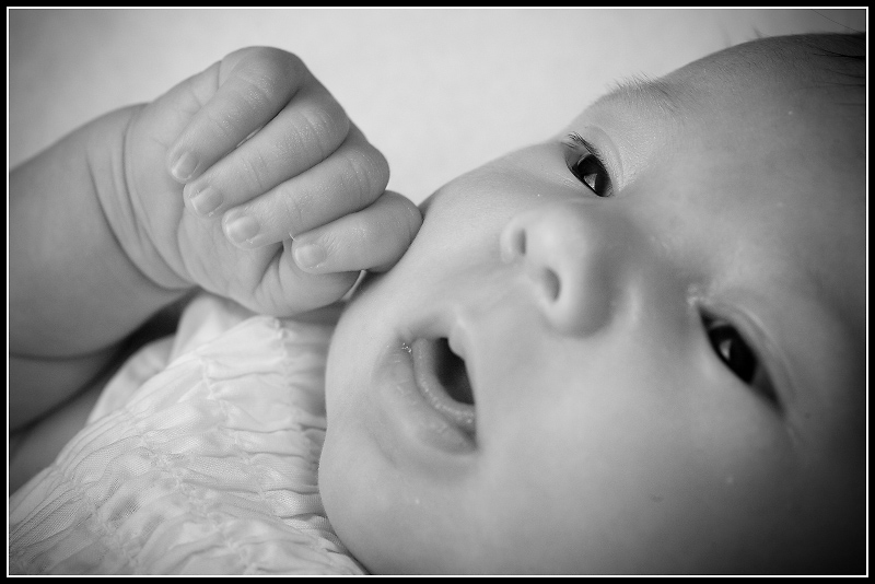 IMG_3559bw.jpg