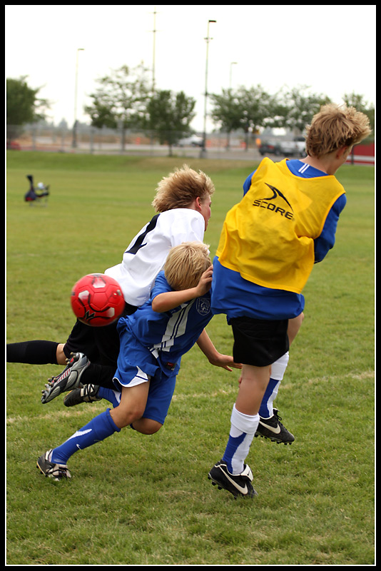 DWT_1402.jpg