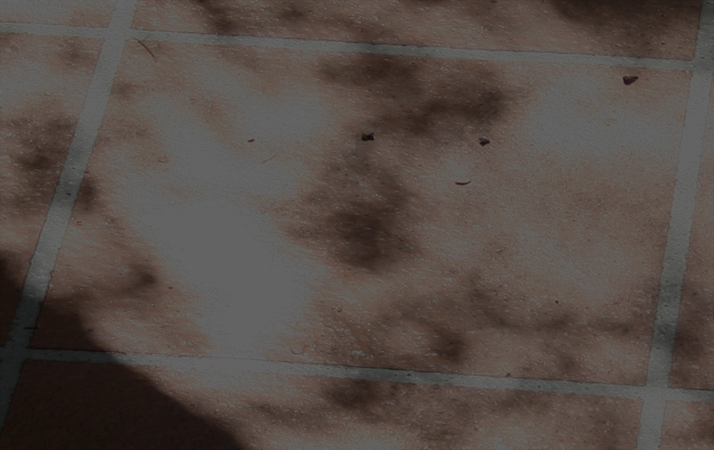 Exposure-minus-3.jpg