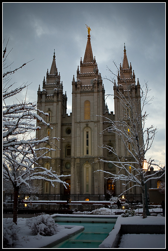 IMG_1020.jpg