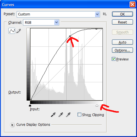 CS3 Curves.gif