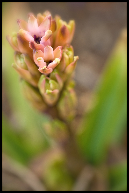 IMG_8281a.jpg