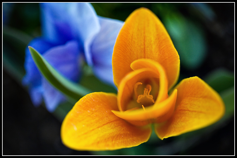 IMG_8310a.jpg
