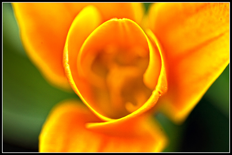 IMG_8316a.jpg