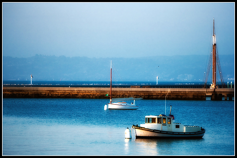 DWT_0957a.jpg