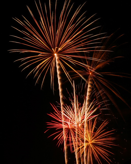 IMG_6506a.jpg