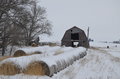 _DSC0120