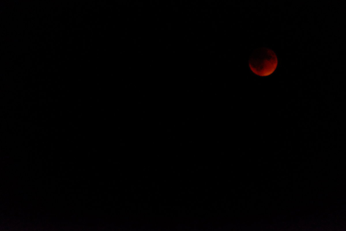 BloodMoon
