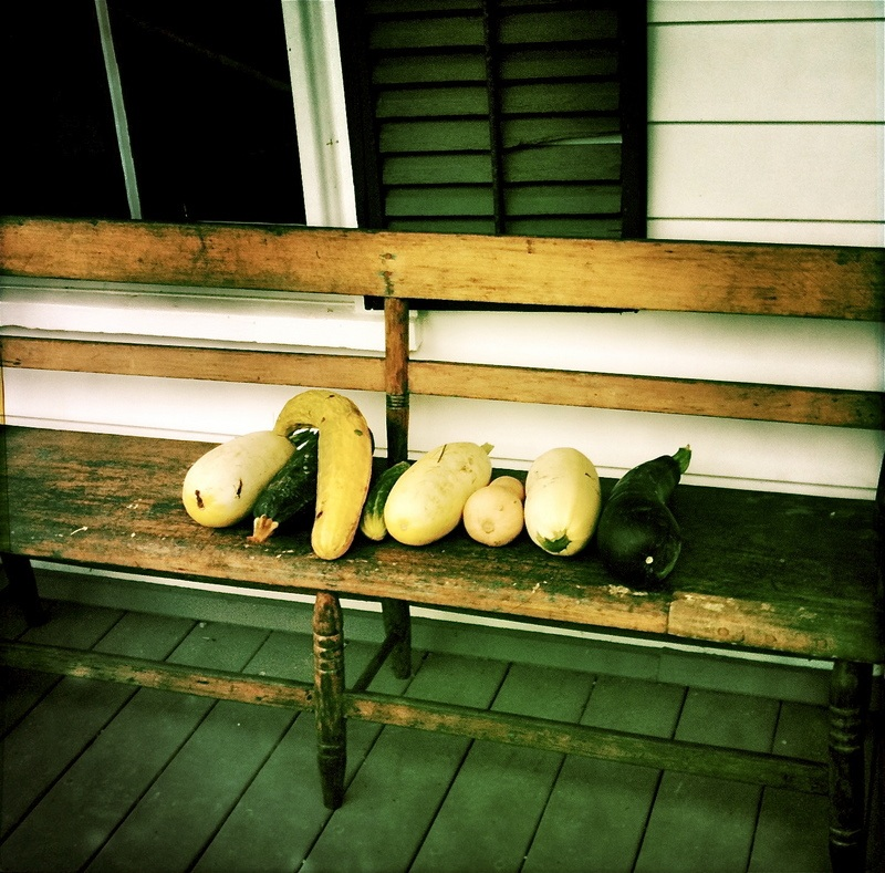 Garden Squash