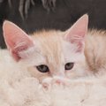 IMG_20250803_070921_350