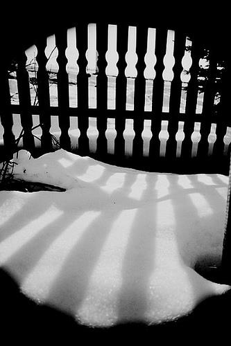 shadows snow