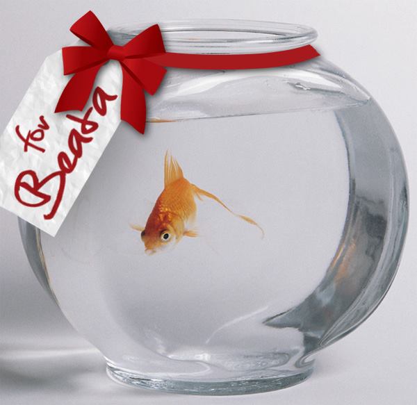 A gift from Art Roflmao