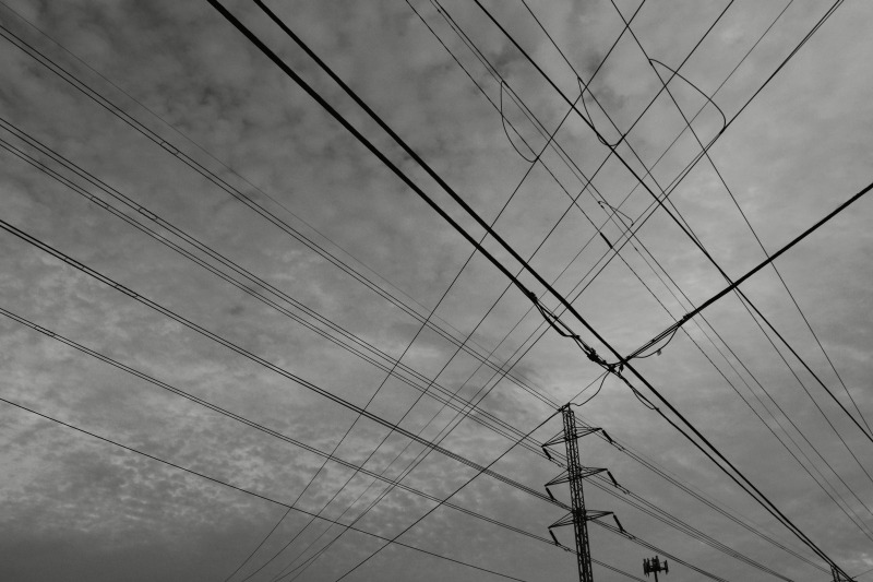lines
