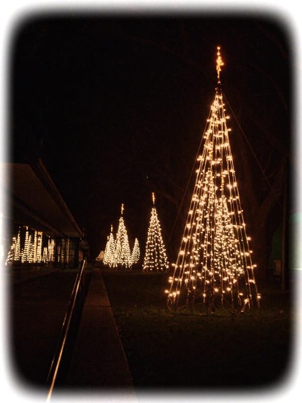 trees