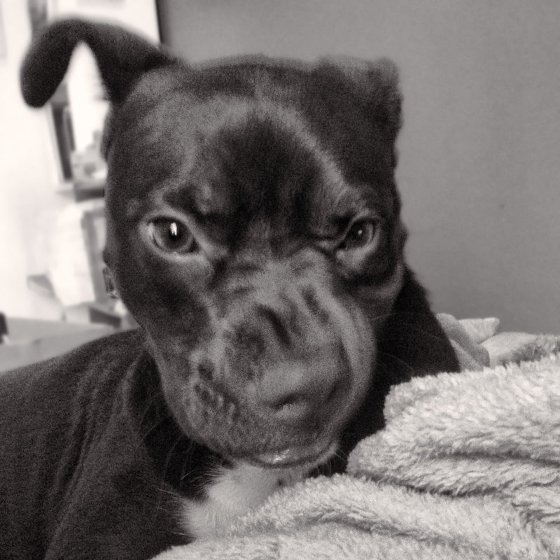 "What the heck dude?" face