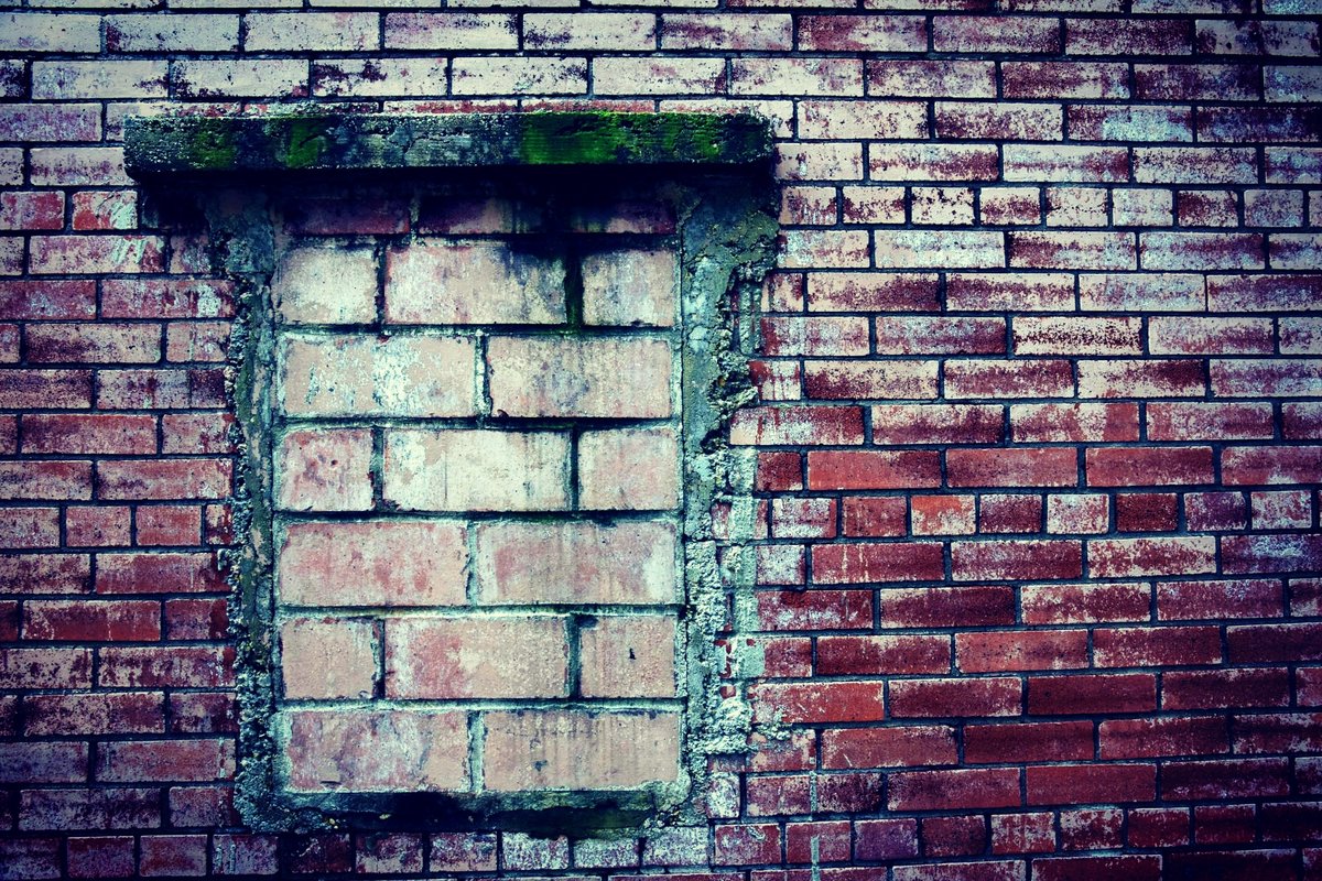 The wall