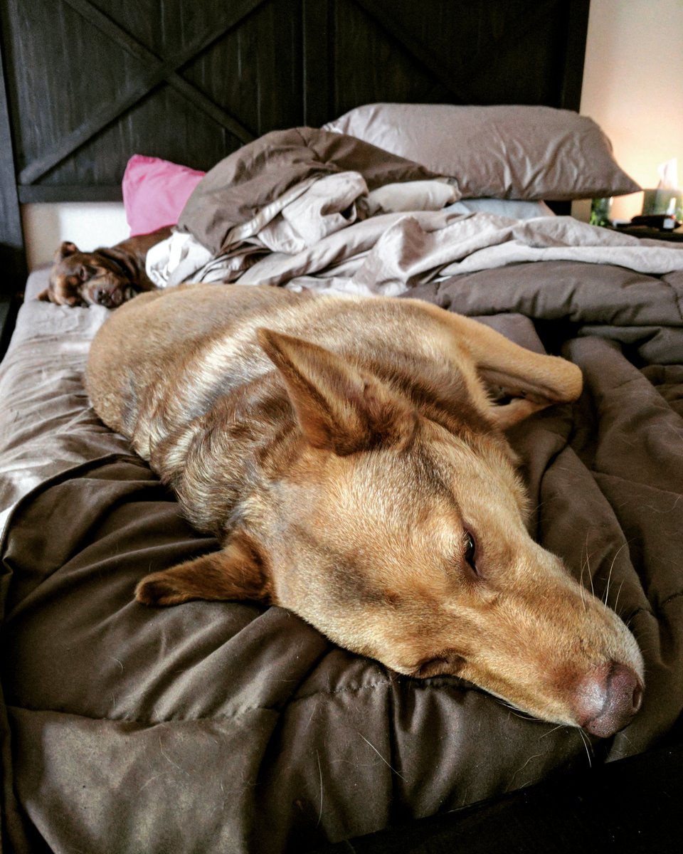 Nap