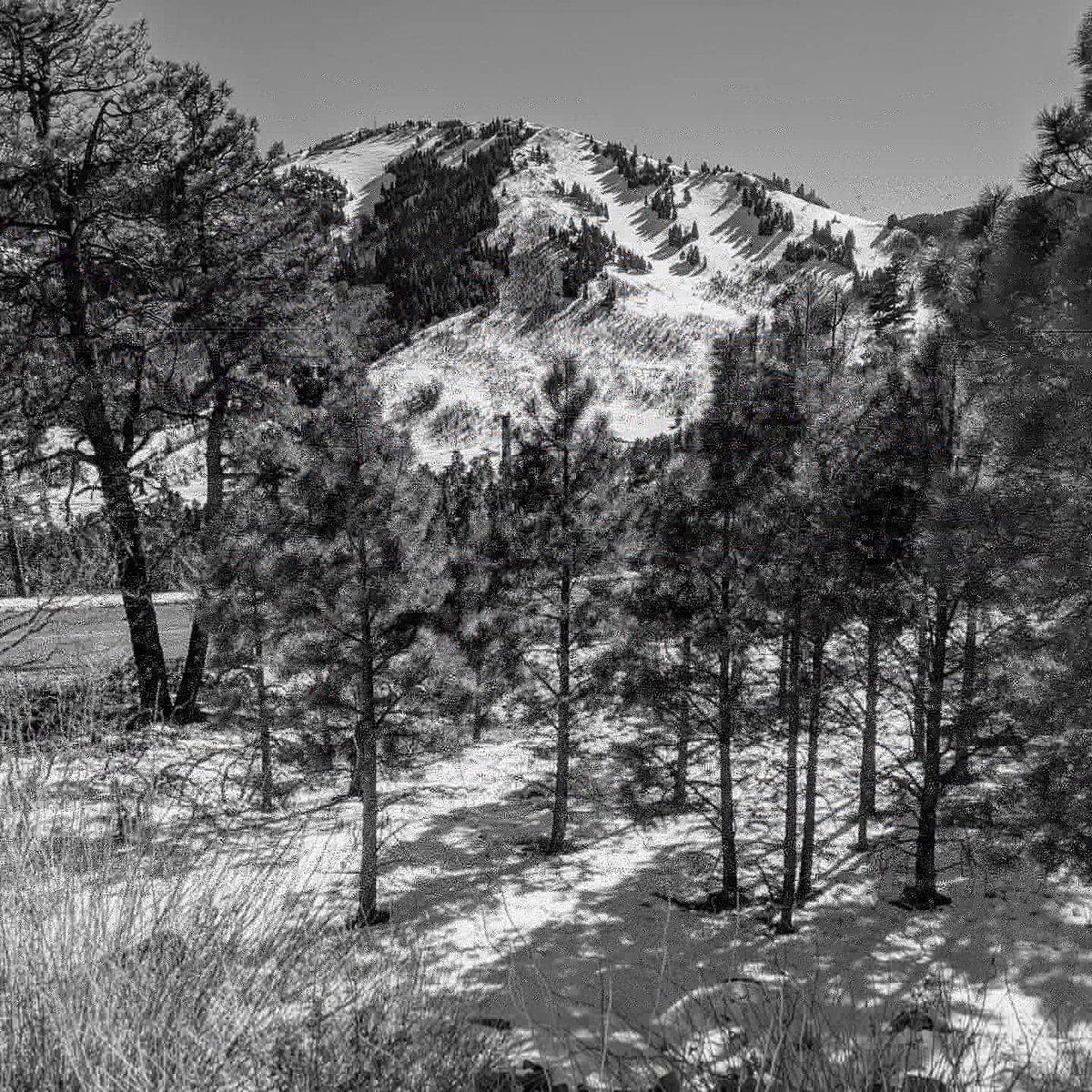 Ruidoso
