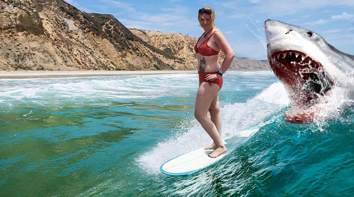 Shark Attack 