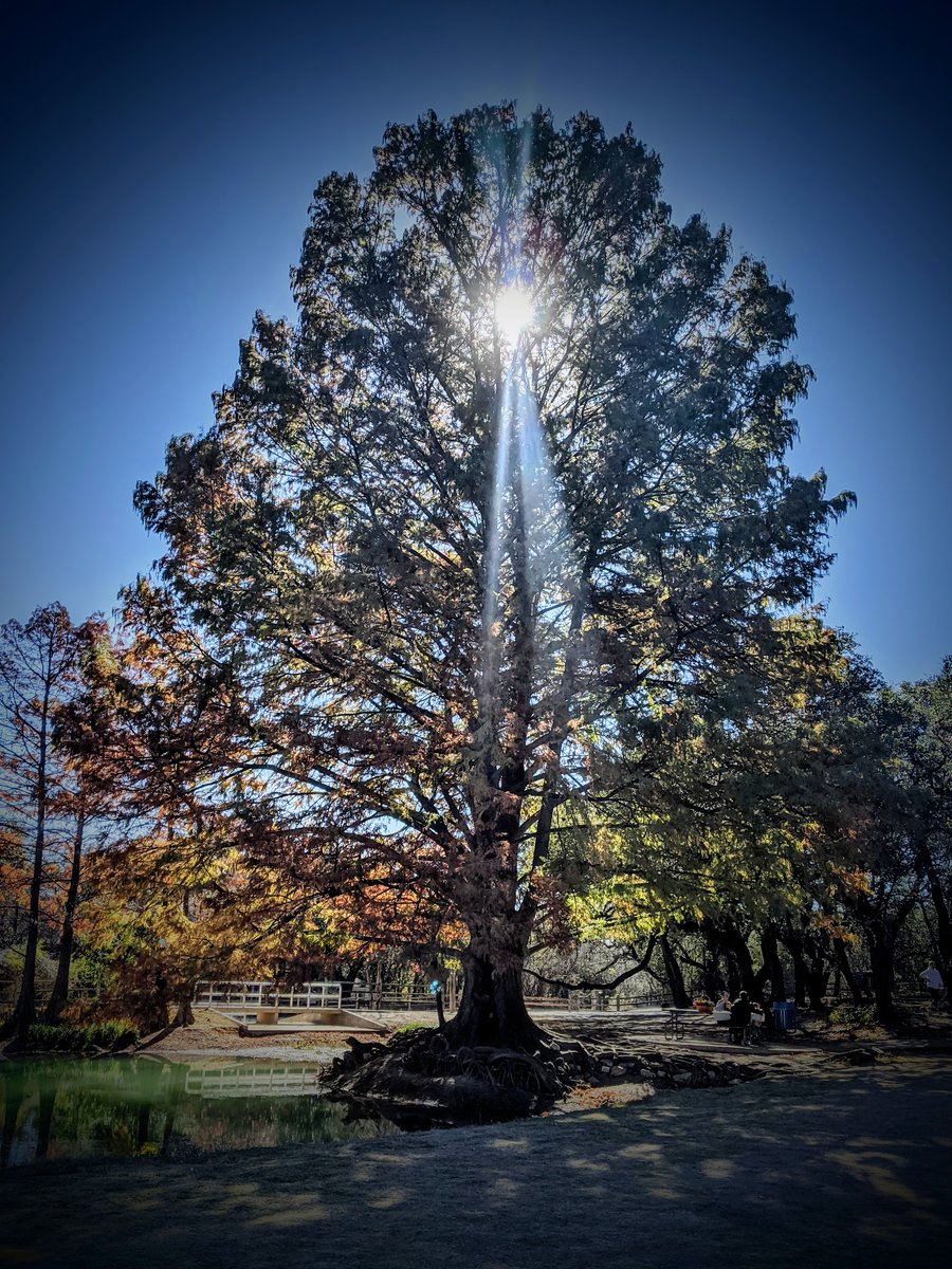 rays of hope