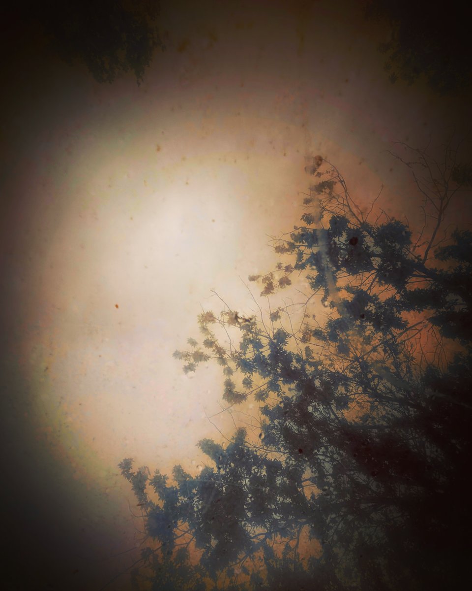 melancholy