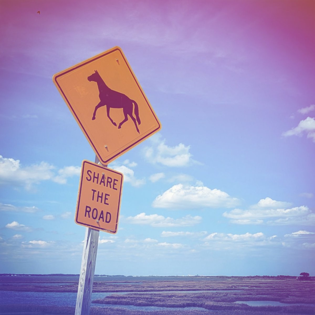 IMG_20250520_190528_458