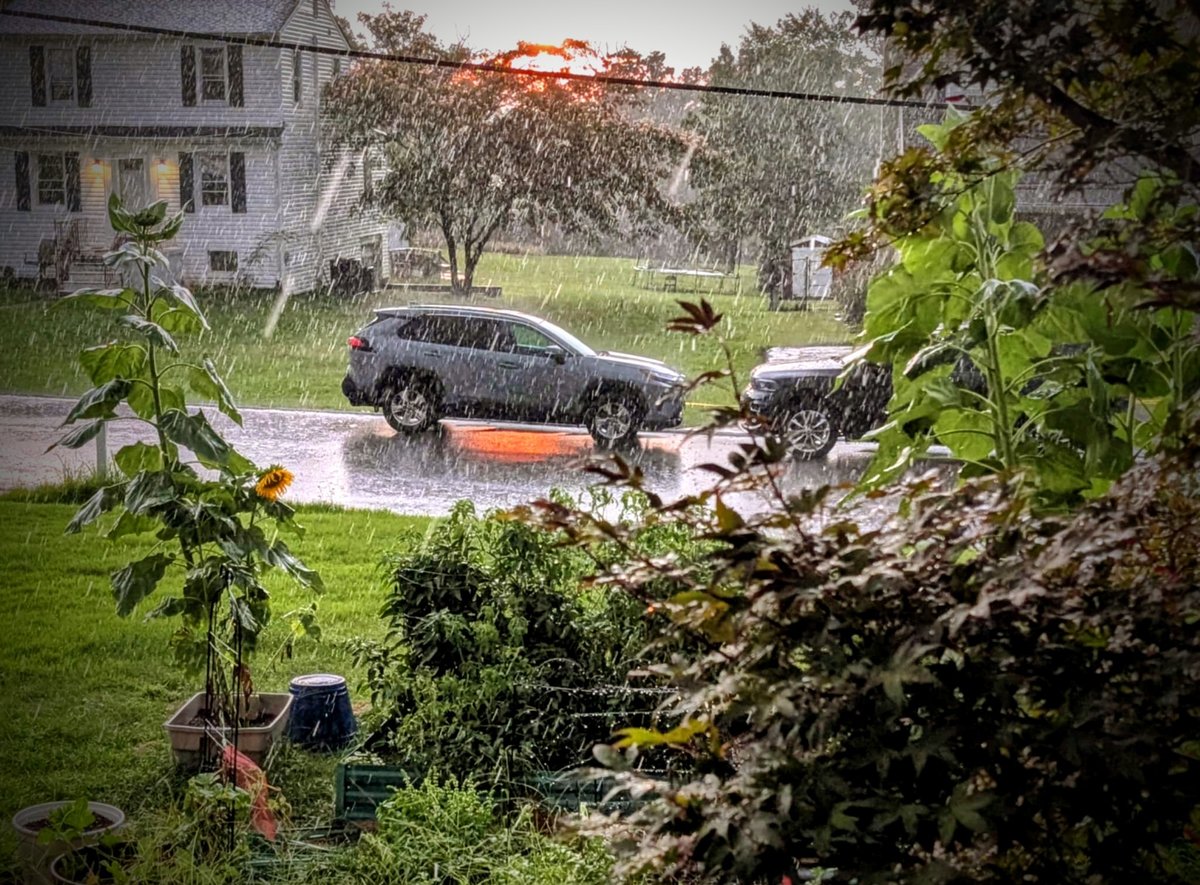 singing in the rain