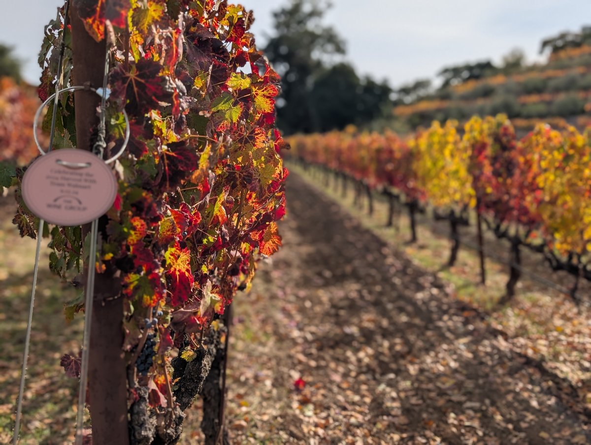 napa