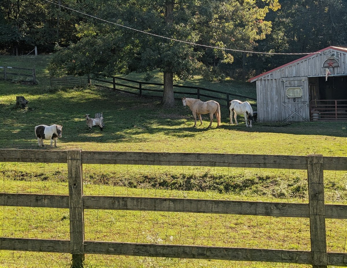 PXL_20241010_140516500~2