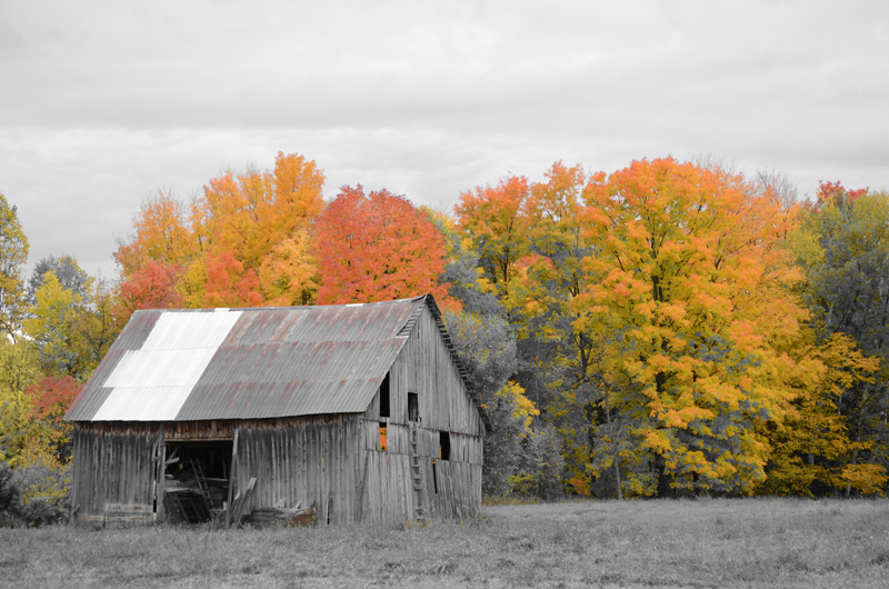 Barn