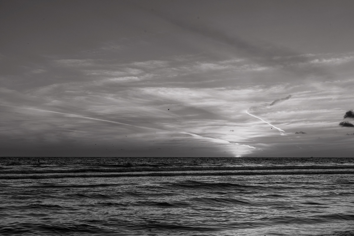 E75_6298-LRGrayscale