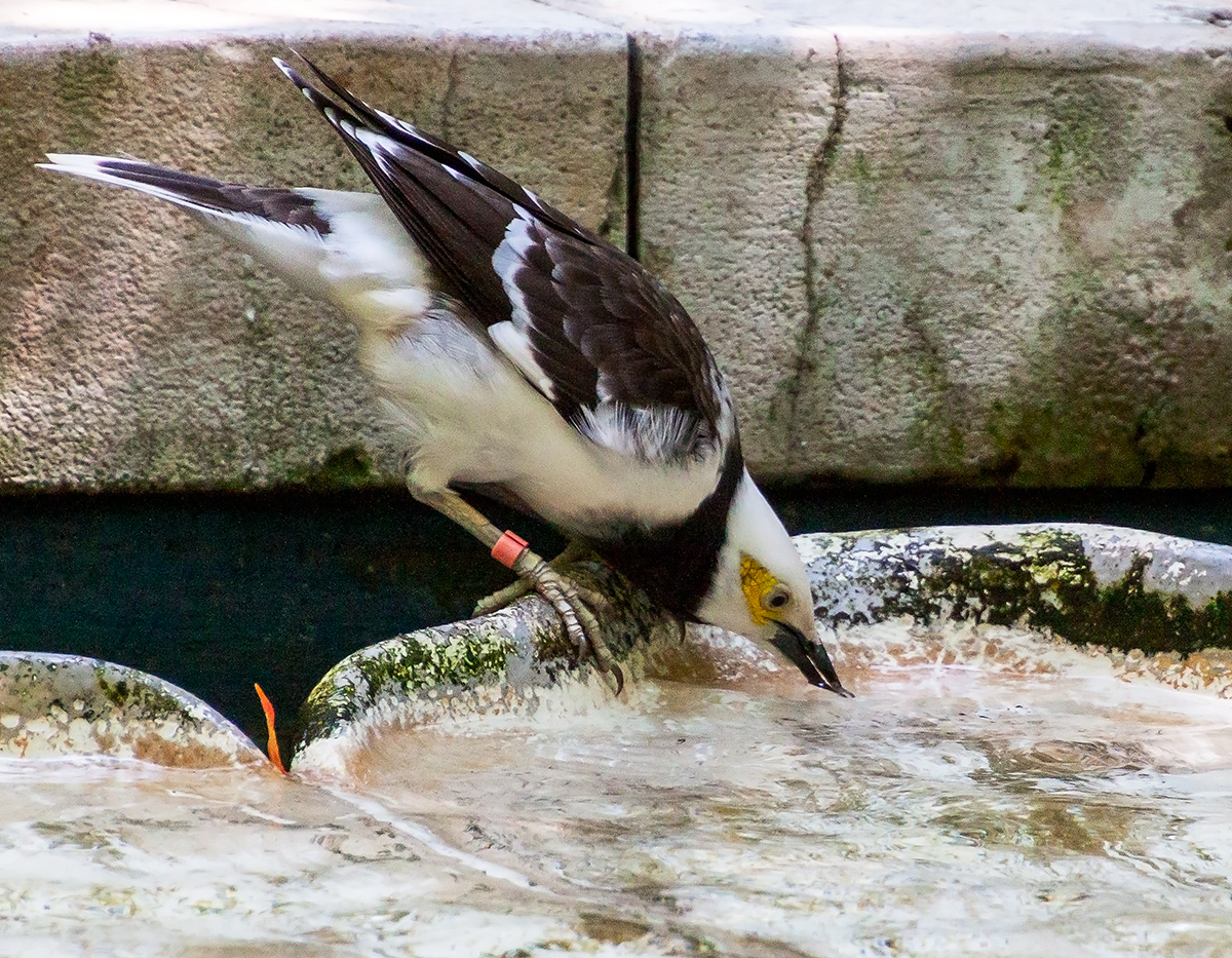 IMG_0090