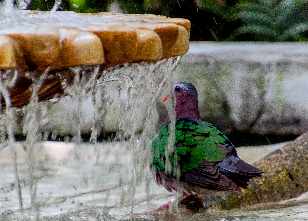 IMG_0062