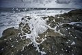 splashy sm