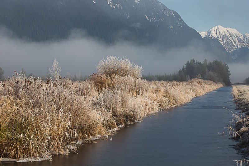 pitt lake