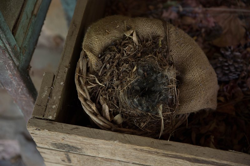The Nest