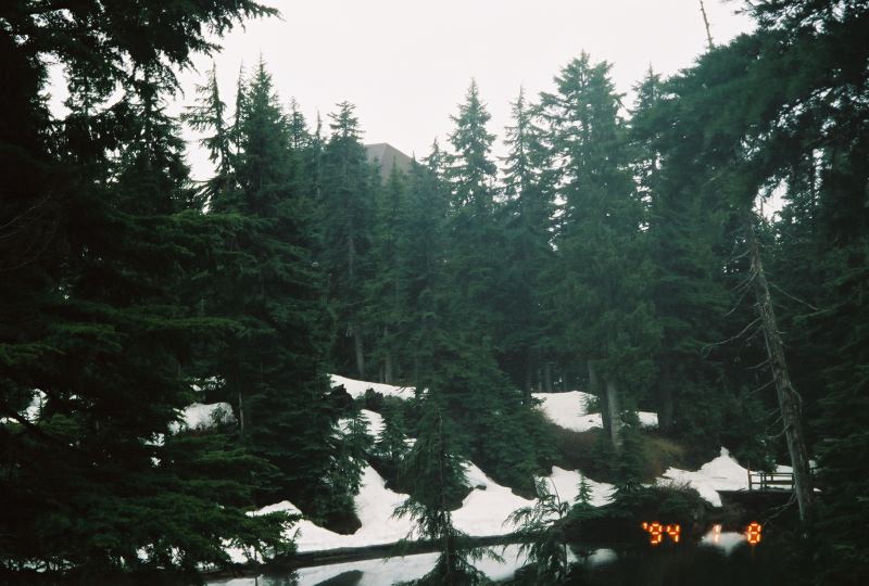 snow 2