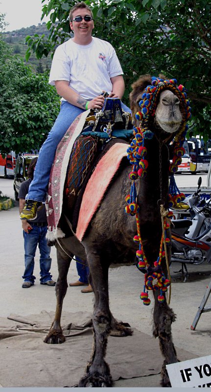 camel