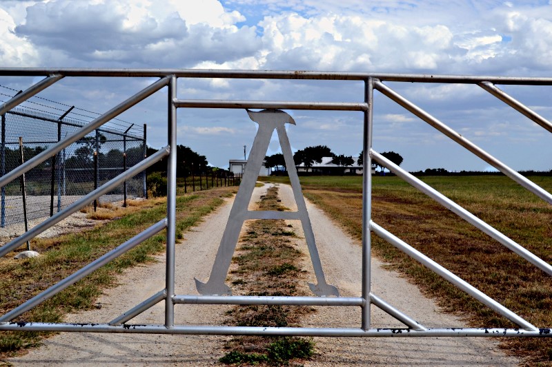 gate