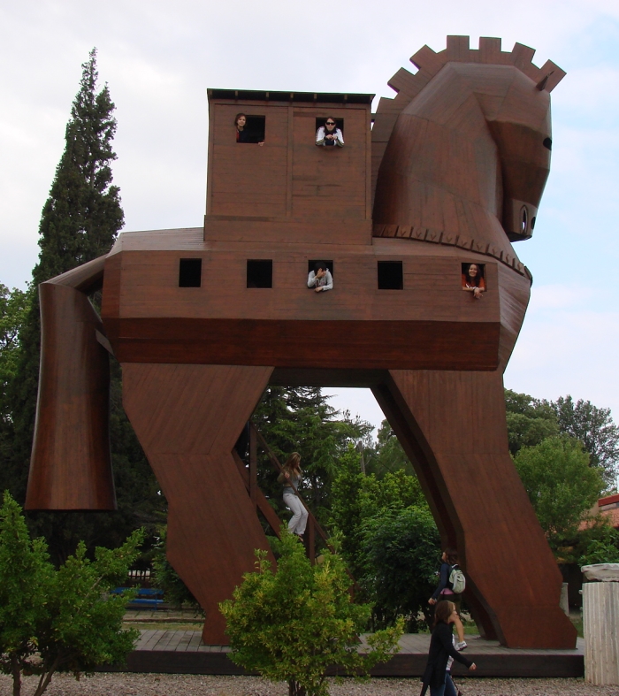 horse