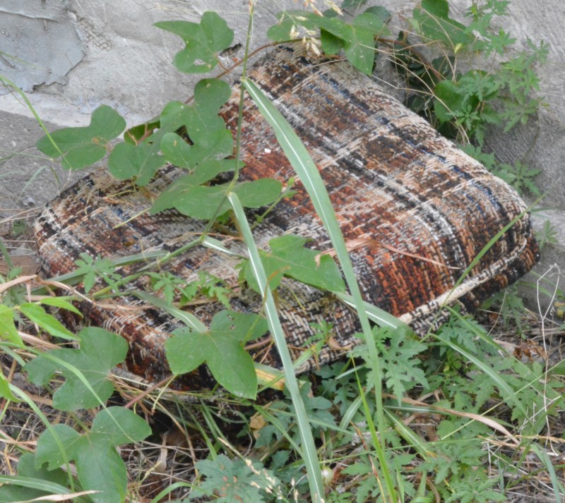 pillow