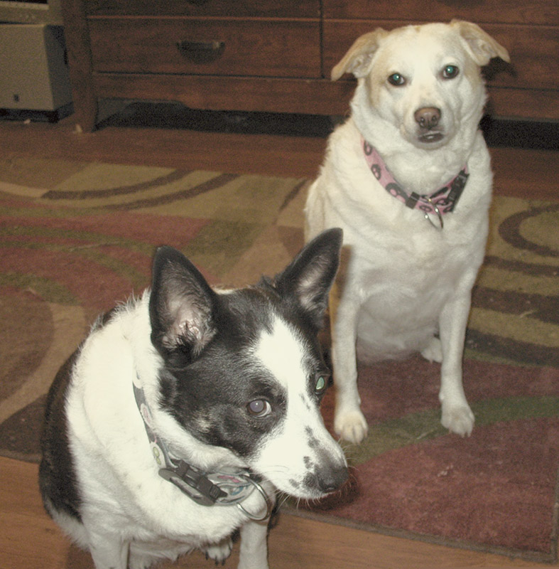 Jasmine being jealous of Gypsy