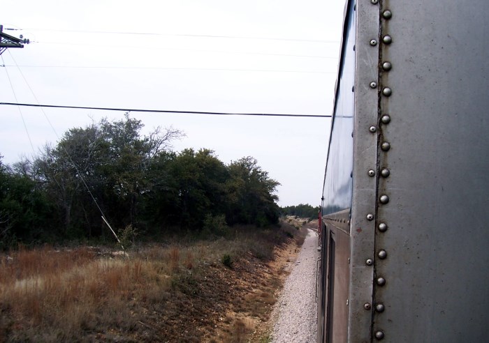 train and brown grass