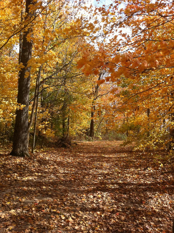 Indiana In the fall