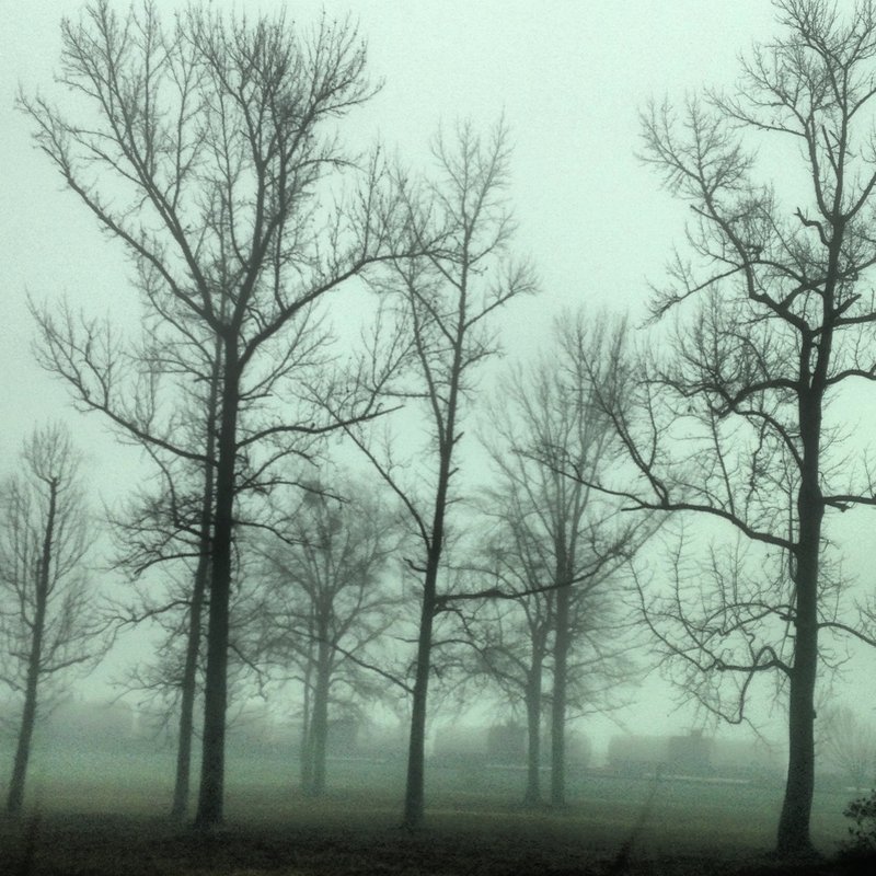 Eerie Fog