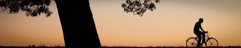 20140815-crop160pxl-3