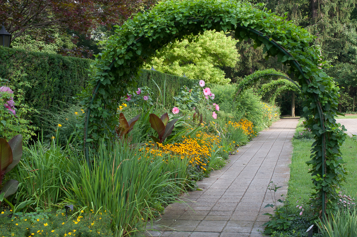 Whitehall Gardens